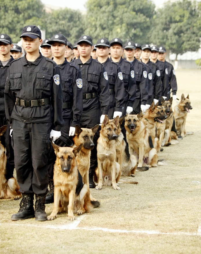 警犬防范服务 
